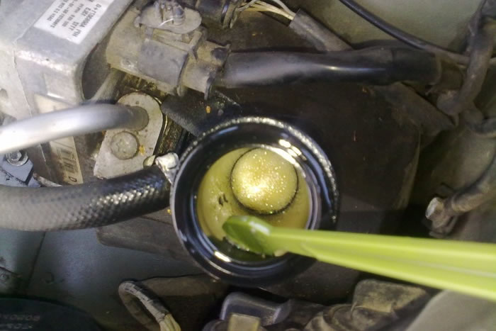 foamy power steering