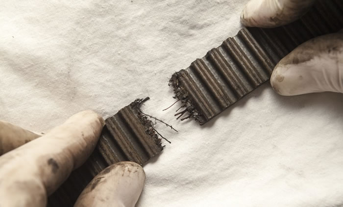 timing belt1